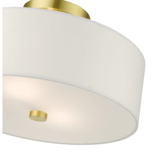 A thumbnail of the Livex Lighting 51053 Alternate View
