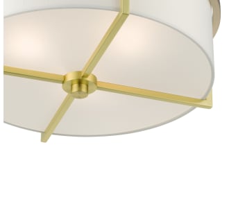 A thumbnail of the Livex Lighting 51074 Alternate View