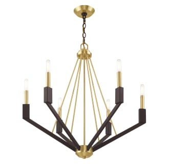 A thumbnail of the Livex Lighting 51166 Alternate Angle (Satin Brass / Bronze)