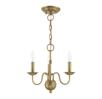 A thumbnail of the Livex Lighting 52163 Alternate Angle (Antique Brass)