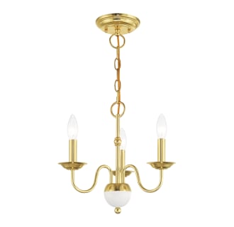 A thumbnail of the Livex Lighting 52163 Alternate Angle (Polished Brass)