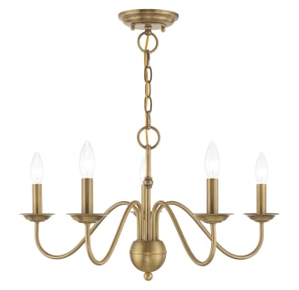 A thumbnail of the Livex Lighting 52165 Alternate Angle (Antique Brass)