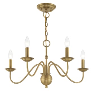 A thumbnail of the Livex Lighting 52165 Alternate Angle (Antique Brass)