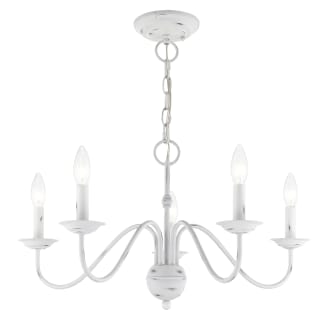 A thumbnail of the Livex Lighting 52165 Alternate Angle (Antique White)