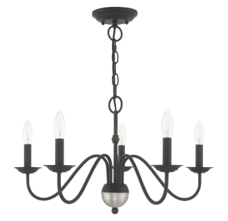 A thumbnail of the Livex Lighting 52165 Alternate Angle (Black)