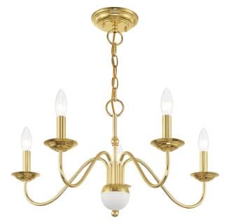 A thumbnail of the Livex Lighting 52165 Alternate Angle (Polished Brass)