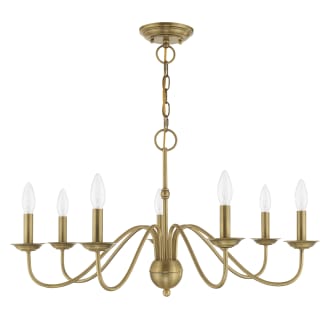 A thumbnail of the Livex Lighting 52167 Alternate Angle (Antique Brass)