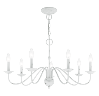A thumbnail of the Livex Lighting 52167 Alternate Angle (Antique White)