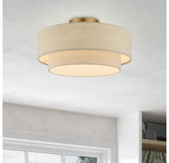 A thumbnail of the Livex Lighting 58898 Alternate Image