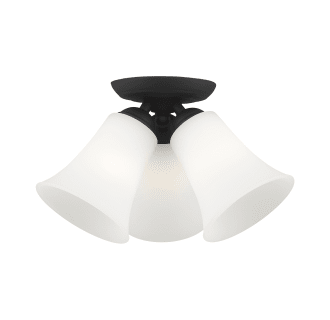 A thumbnail of the Livex Lighting 6462 Alternate View