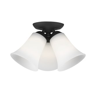 A thumbnail of the Livex Lighting 6462 Alternate View