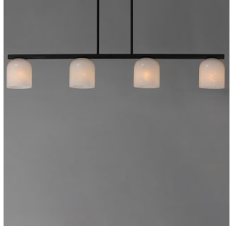 A thumbnail of the Maxim 21236 Alternate Image