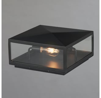 A thumbnail of the Maxim 30099CL Alternate Image
