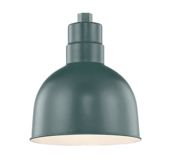 A thumbnail of the Millennium Lighting RDBS10-RGN41 Millennium Lighting RDBS10-RGN41