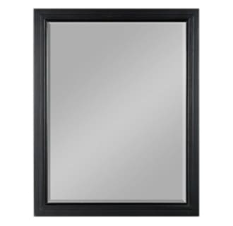 Georgette 23-1/2" x 30" Wall Mounted Vanity Mirror
