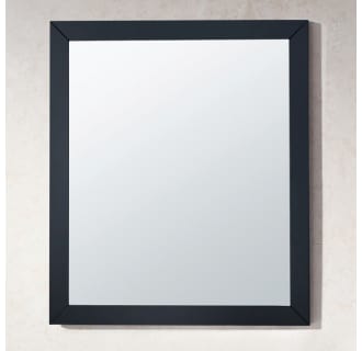 Orbita 30" Rectangular Framed Mirror