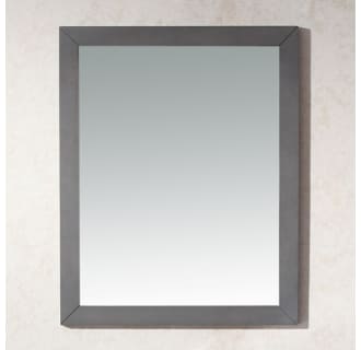 Spazio 30" Rectangular Framed Mirror