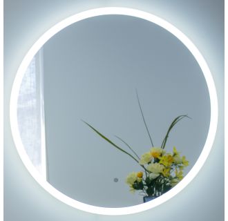 20" W x 20" H Circular Frameless Wall Mounted Mirror with LED Lighting