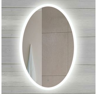 22" W x 26" H Oval Frameless Wall Mounted Mirror with LED Lighting