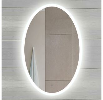 24" W x 36" H Oval Frameless Wall Mounted Mirror with LED Lighting