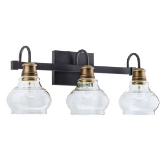 3-Light Bathroom Vanity Light - Reversible Mounting Option