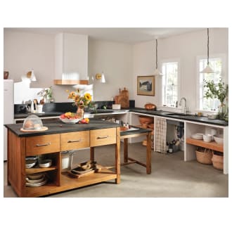 A thumbnail of the Moen GXP33C Alternate Image