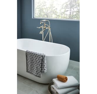 A thumbnail of the Moen S22110 Alternate View