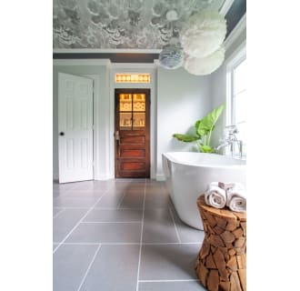 A thumbnail of the Moen S22110 Alternate View