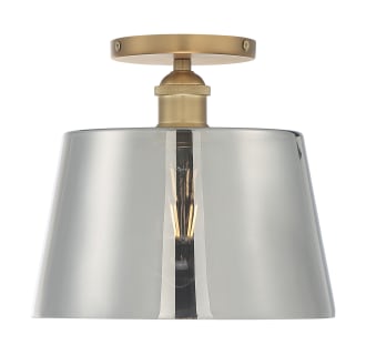 A thumbnail of the Nuvo Lighting 60/7324 Alternative View