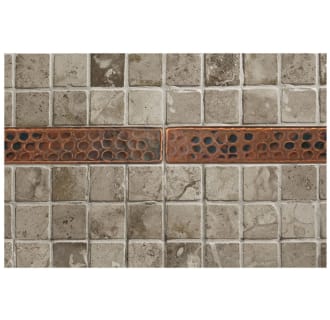 A thumbnail of the Premier Copper Products T18DBH_PKG8 Alternate Image