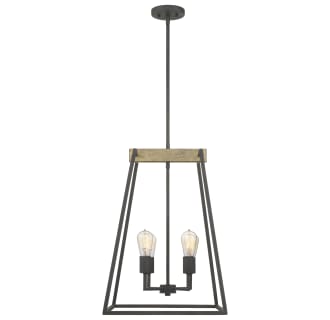 A thumbnail of the Quoizel BRT5204 Alternate View