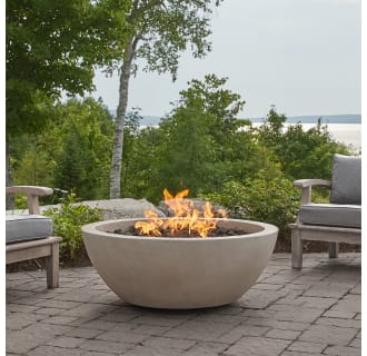 Real Flame 132NG-FOG Fog Redding 42 Inch Wide 60,000 BTU ... (330 x 320 Pixel)