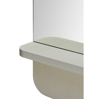 A thumbnail of the Ren Wil MT2433-SAUNDERS-SHELF-MIRROR Shelf Detail