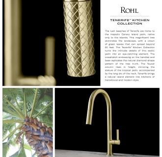 A thumbnail of the Rohl TE65D1LM Infographic