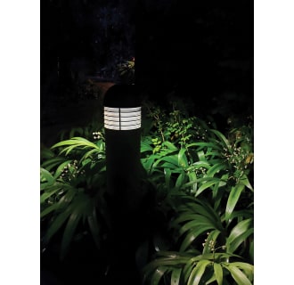 A thumbnail of the Satco Lighting S13165-4PACK Alternate Image