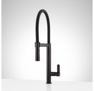 Shop Signature Hardware Kitchen Faucets at FaucetDirect.com
