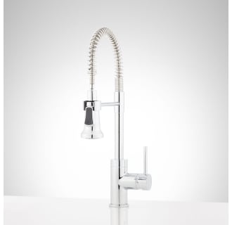 Shop Signature Hardware Kitchen Faucets at Faucet.com