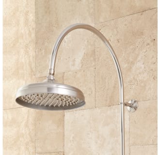 A thumbnail of the Signature Hardware 905351 Signature Hardware-905351-Shower Head - Brushed Nickel