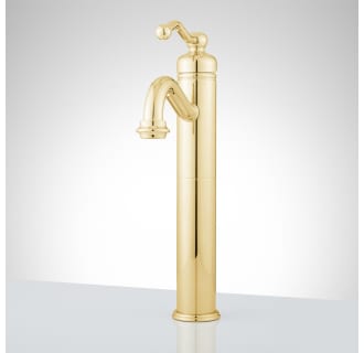 A thumbnail of the Signature Hardware 910802-NO Signature Hardware-910802-NO-Polished Brass - Front