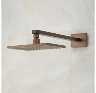 A thumbnail of the Signature Hardware 925939 Signature Hardware-925939-Shower Head - Oil Rubbed Bronze