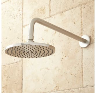 A thumbnail of the Signature Hardware 925945 Signature Hardware-925945-Shower Head- Brushed Nickel
