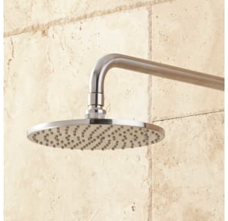 A thumbnail of the Signature Hardware 927732 Signature Hardware-927732-Shower Head - Brushed Nickel