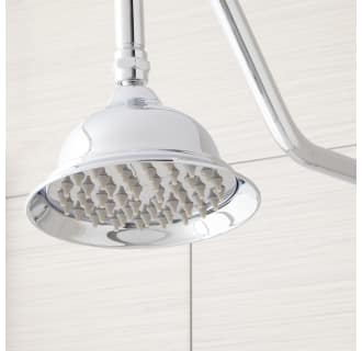 A thumbnail of the Signature Hardware 939624 Signature Hardware-939624-Chrome Detail