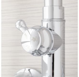 A thumbnail of the Signature Hardware 939624 Signature Hardware-939624-Diverter Detail