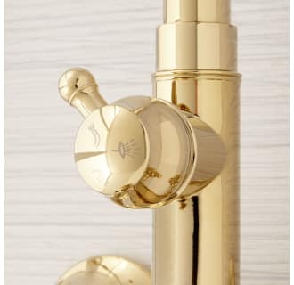 A thumbnail of the Signature Hardware 939624 Signature Hardware-939624-Diverter Detail