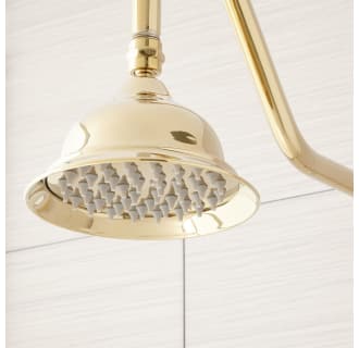A thumbnail of the Signature Hardware 939624 Signature Hardware-939624-Polished Brass Detail