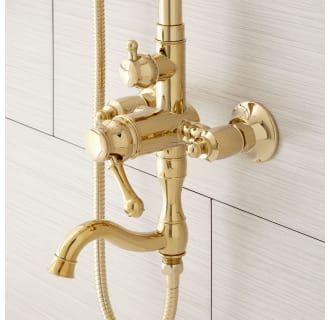 A thumbnail of the Signature Hardware 939624 Signature Hardware-939624-Polished Brass Spout