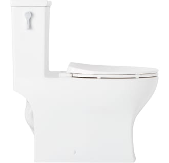 signature hardware carraway toilet