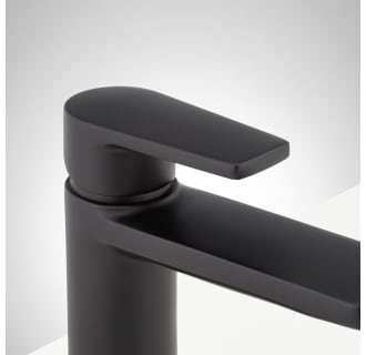 A thumbnail of the Signature Hardware 953646 Alternate Image