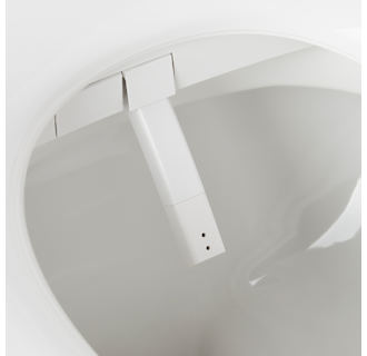 A thumbnail of the Signature Hardware 953868 Alternate Image